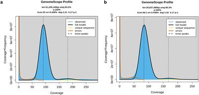 Genome sequence of a European Diplocarpon coronariae strain and in silico structure of the mating-type locus